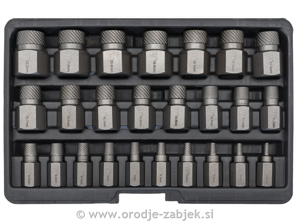 Extractor Set for Screws (25 pcs) WELZH